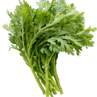 Chrysanthemum Garland Tong Hou (Sold Per KG) [KLANG VALLEY ONLY]
