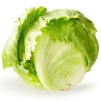 Lettuce Iceberg (10kg ctn) [KLANG VALLEY ONLY]